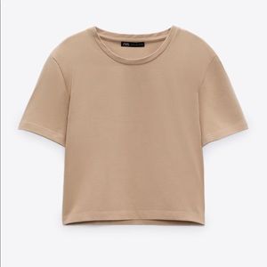 Zara Beige Short Sleeve Tshirt